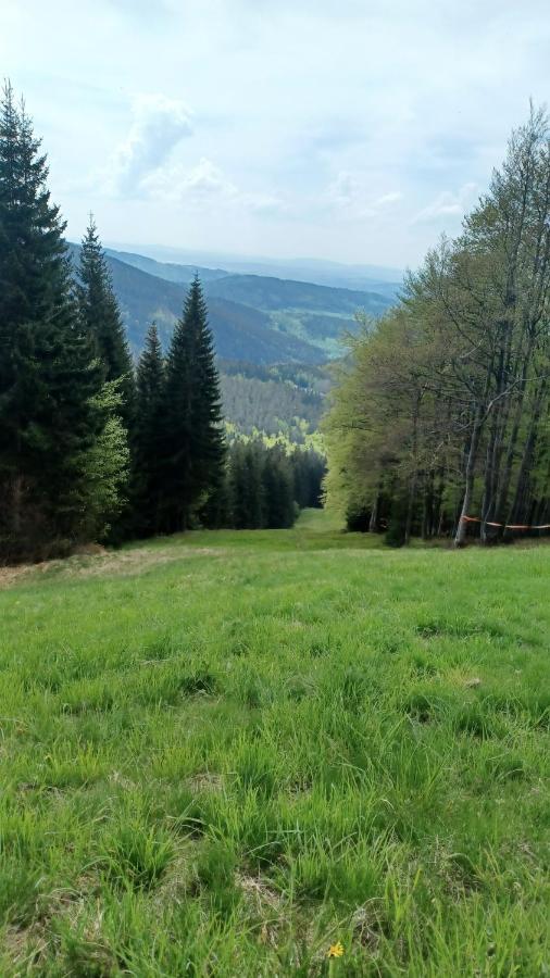 Panorama Apartman Svadlenka Rokytnice nad Jizerou Extérieur photo